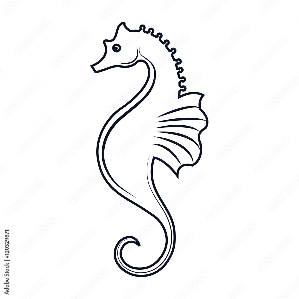 Fototapeta premium seahorse aquatic animal. ocean symbol. silhouette vector illustration
