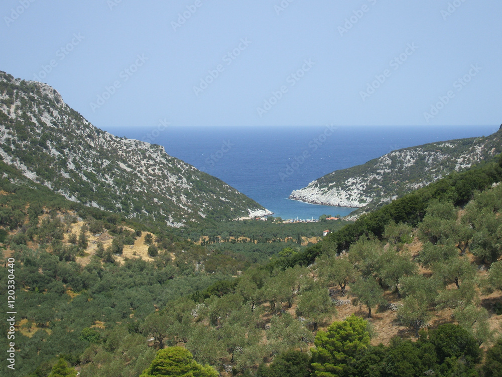 Wooded valley overlooking the sea at Skopelos island in Greece