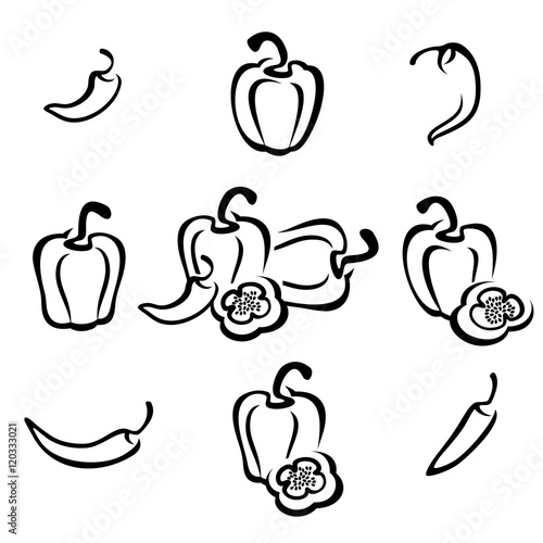 Chili and pepper set. Vector