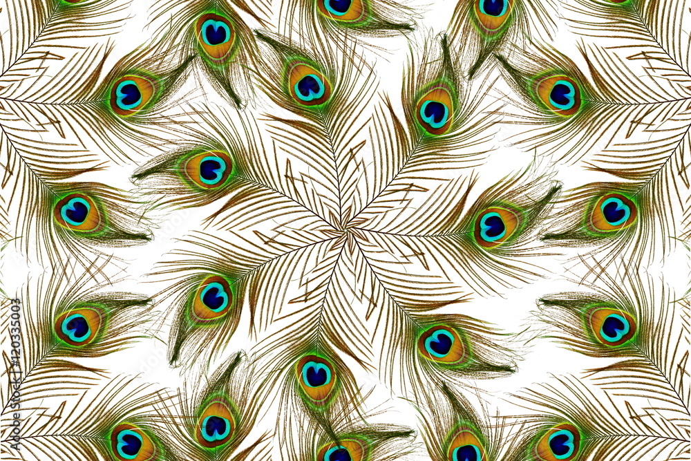 Naklejka premium Beautiful peacock feathers as background