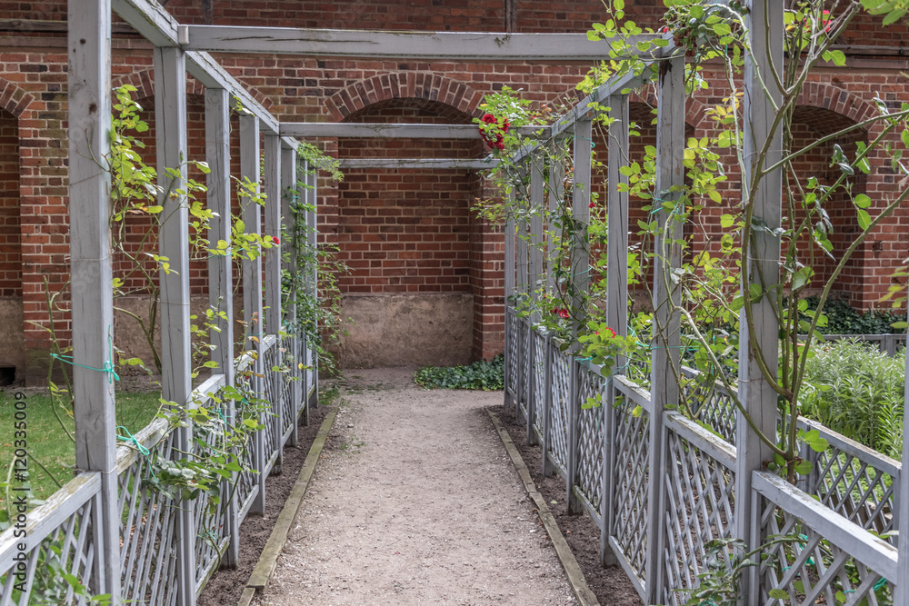 Pergola of wood covered with green leaves against red brick wall