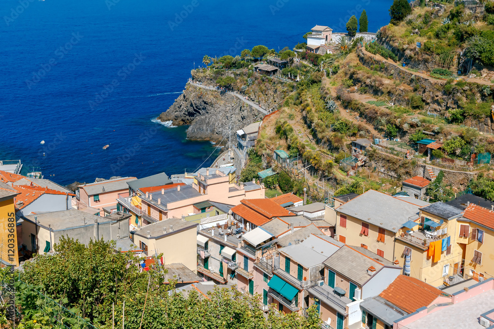 Manarola. The famous medieval village with colorful houses.