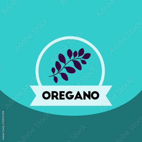 flat vector icon design collection Kitchenware seasoning oregano