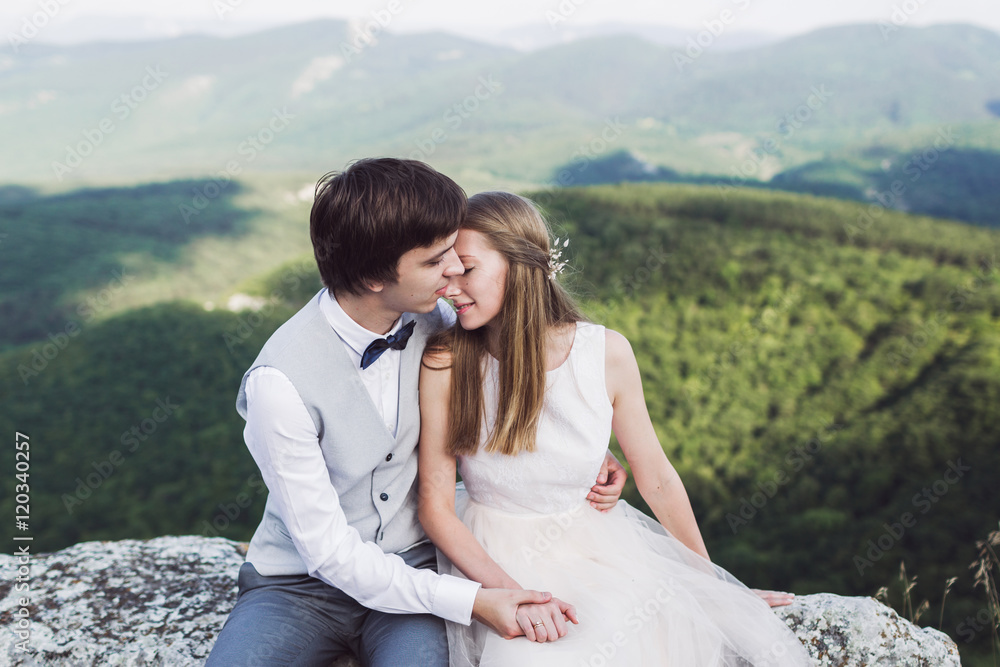 Gentle portrait of smiling newlyweds Gentle portrait of smiling newlyweds