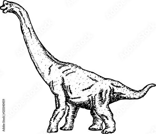 Prehistoric Jurassic Dinosaurs Reptiles Sketch Vector Illustration