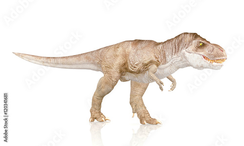 Fototapeta Naklejka Na Ścianę i Meble -  Tyrannosaurus Rex, Dinosaur isolated on white background