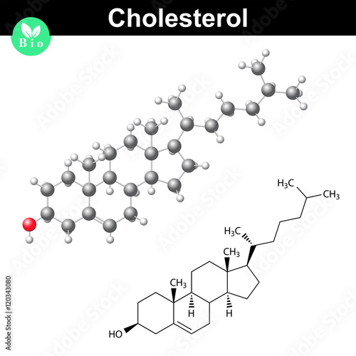 Cholesterol molecule and 3d model