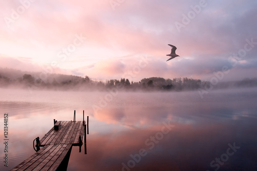Morning on the Seliger lake (Russia) with mist (fog) and gull flying over the frame