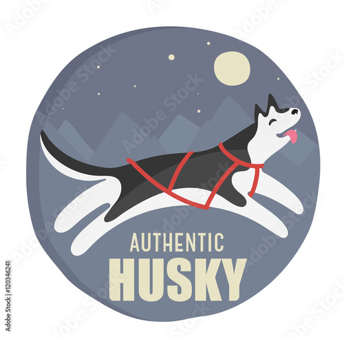 husky authentic illustration