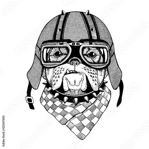 Vintage vector images of dogs for t-shirt design for motorcycle, bike, motorbike, scooter club, aero club