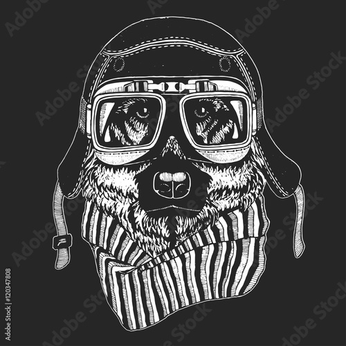 Vintage vector images of dogs for t-shirt design for motorcycle, bike, motorbike, scooter club, aero club