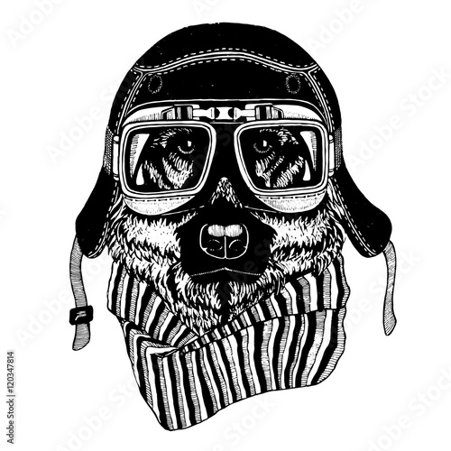 Vintage vector images of dogs for t-shirt design for motorcycle, bike, motorbike, scooter club, aero club