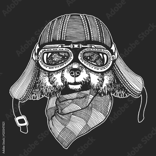 Vintage vector images of dogs for t-shirt design for motorcycle, bike, motorbike, scooter club, aero club