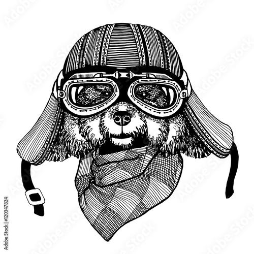 Vintage vector images of dogs for t-shirt design for motorcycle, bike, motorbike, scooter club, aero club