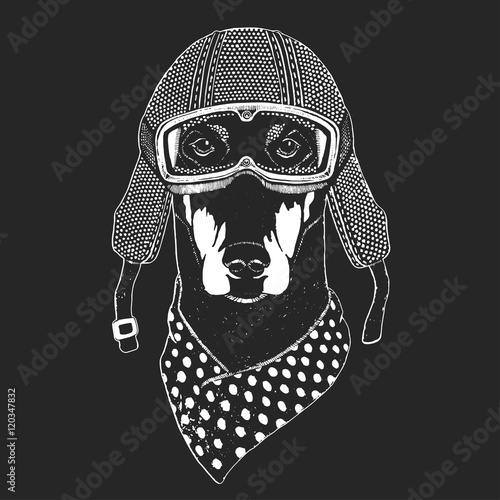 Vintage vector images of dogs for t-shirt design for motorcycle, bike, motorbike, scooter club, aero club