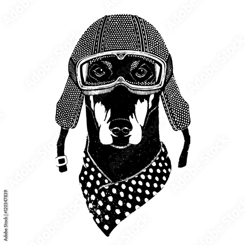 Vintage vector images of dogs for t-shirt design for motorcycle, bike, motorbike, scooter club, aero club
