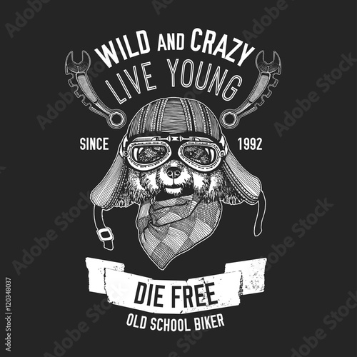Biker quote with dog for garage, service, t-shirt, spare parts Vector image