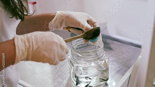 Nurse prepares leeches for the session, hirudotherapy photo