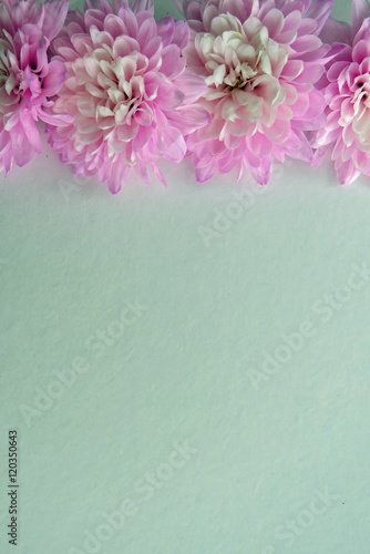 Pink Flower border on a White Background with space for text