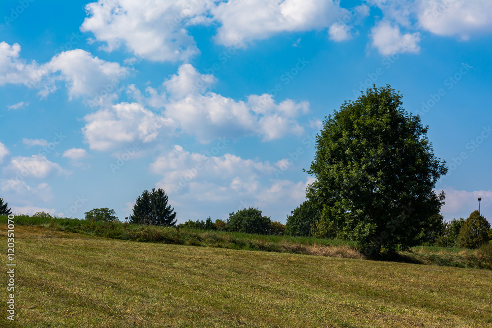 Landscape Lonely Tree Outdoors Warm Summer Hot Blue Sky Field Landscape Lonely Tree Outdoors Warm Summer Hot Blue Sky Field
