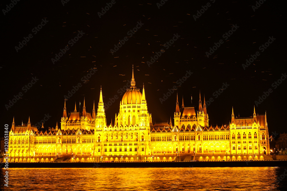 Hungarian Parliament Building with light birds swirling by night, Budapest