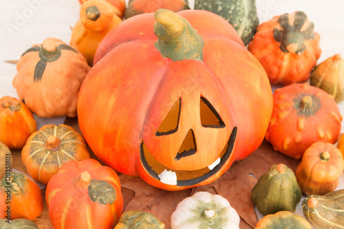 Orange Halloween pumpkin and many small pumpkins