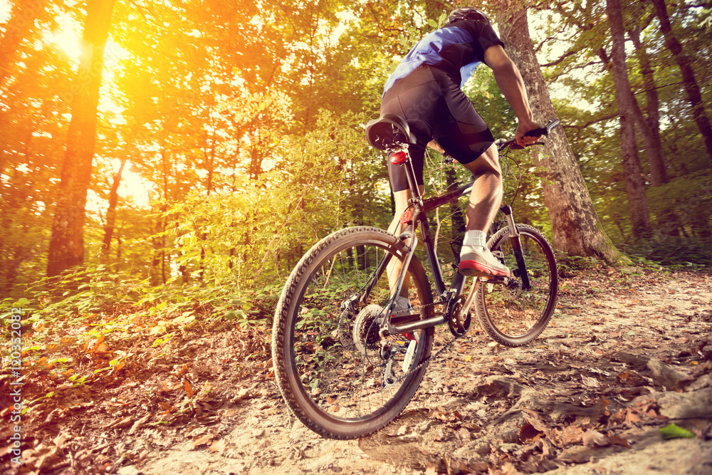 Naklejka premium biking