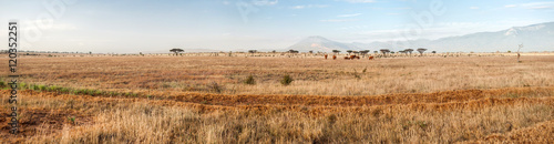 Tsavo East National Park, Kenya