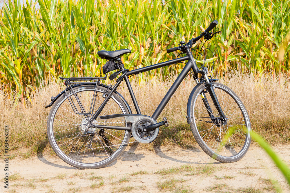 Fahrrad steht an einem Maisfeld