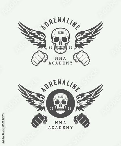 Set of vintage mixed martial arts or fighting club logos, emblem