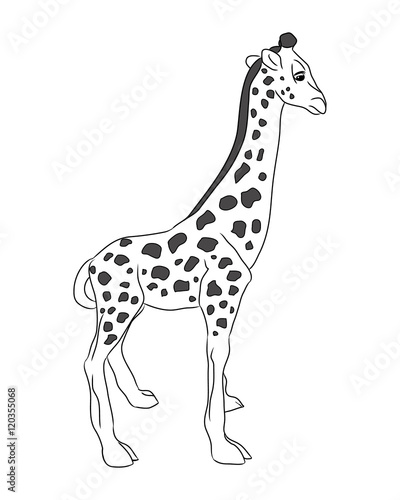 Little giraffe vector