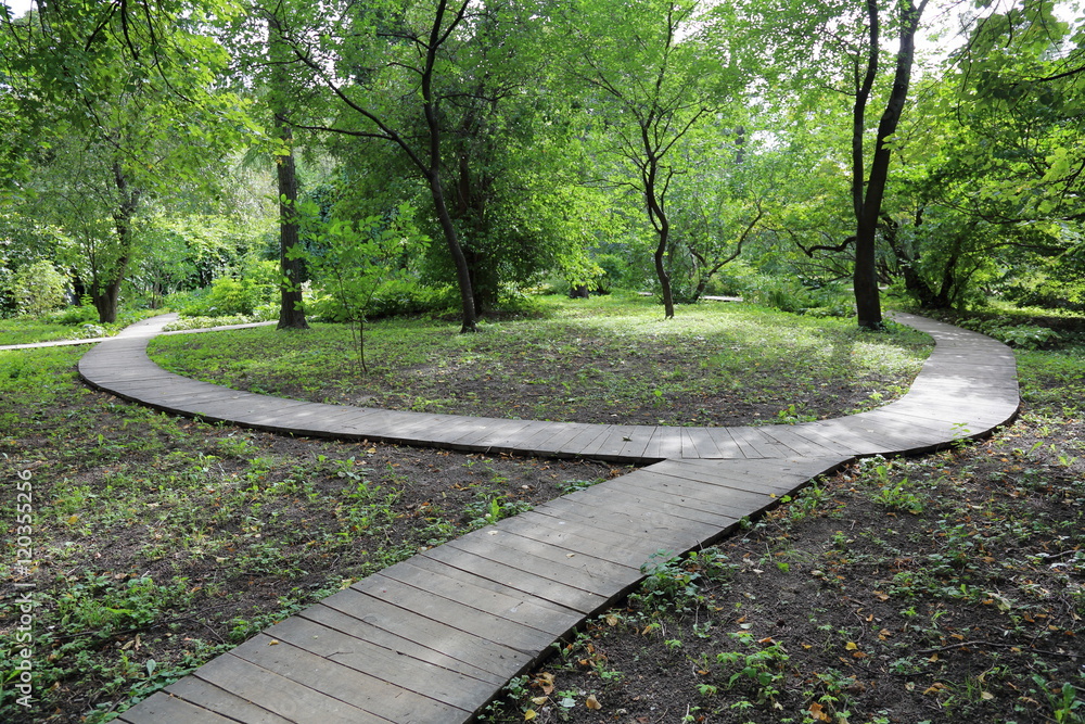 Path for pedestrians in the park Path for pedestrians in the park