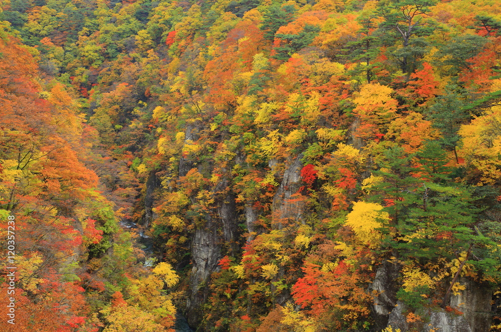 鳴子峡の紅葉 鳴子峡の紅葉