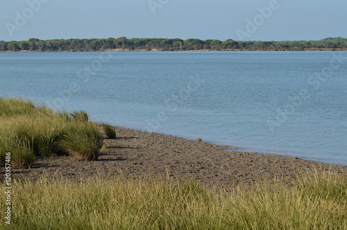 paisaje del rio guadalquivir en las salinas de bonanza 