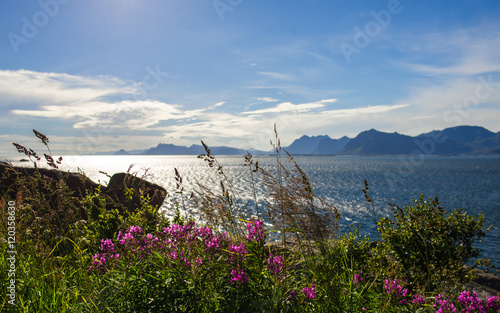 Sunset on the Lofoten Islan...