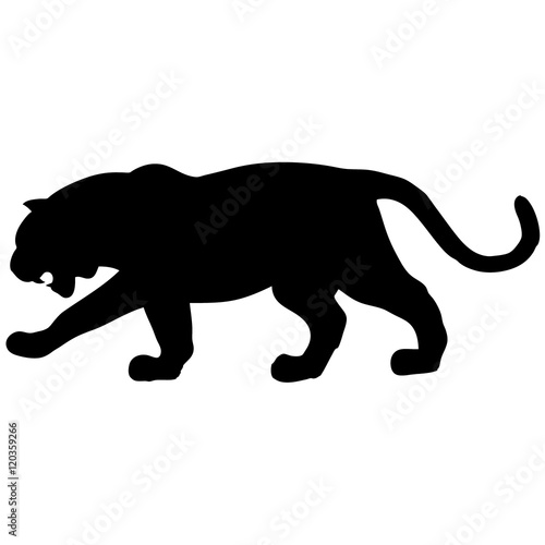 Snarling tiger with huge tusks 