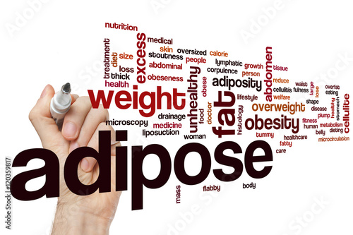 Adipose word cloud