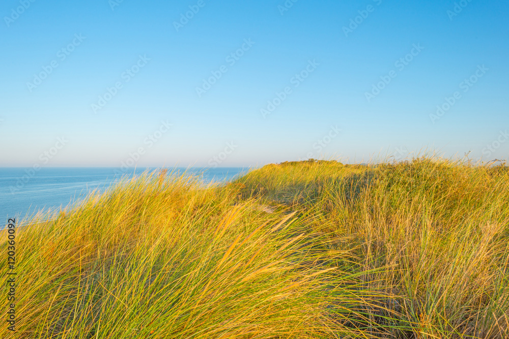 Sand dunes in the light of sunrise in summer Sand dunes in the light of sunrise in summer
