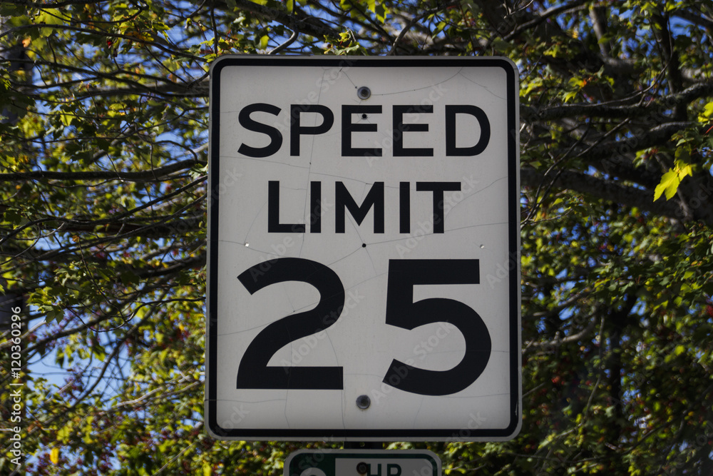 Fototapeta premium Speed Limit Sign in Bar Harbor, 2015