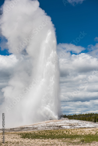 Vertical view of Old Faithful Geyser high eruption in Yellowstone National Park with steam and clouds