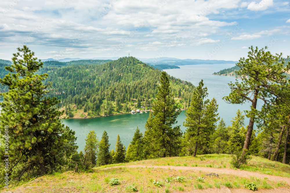 Obraz premium View of Coeur d'Alene lake from mountains with pine trees in Idaho from Mineral Ridge trail
