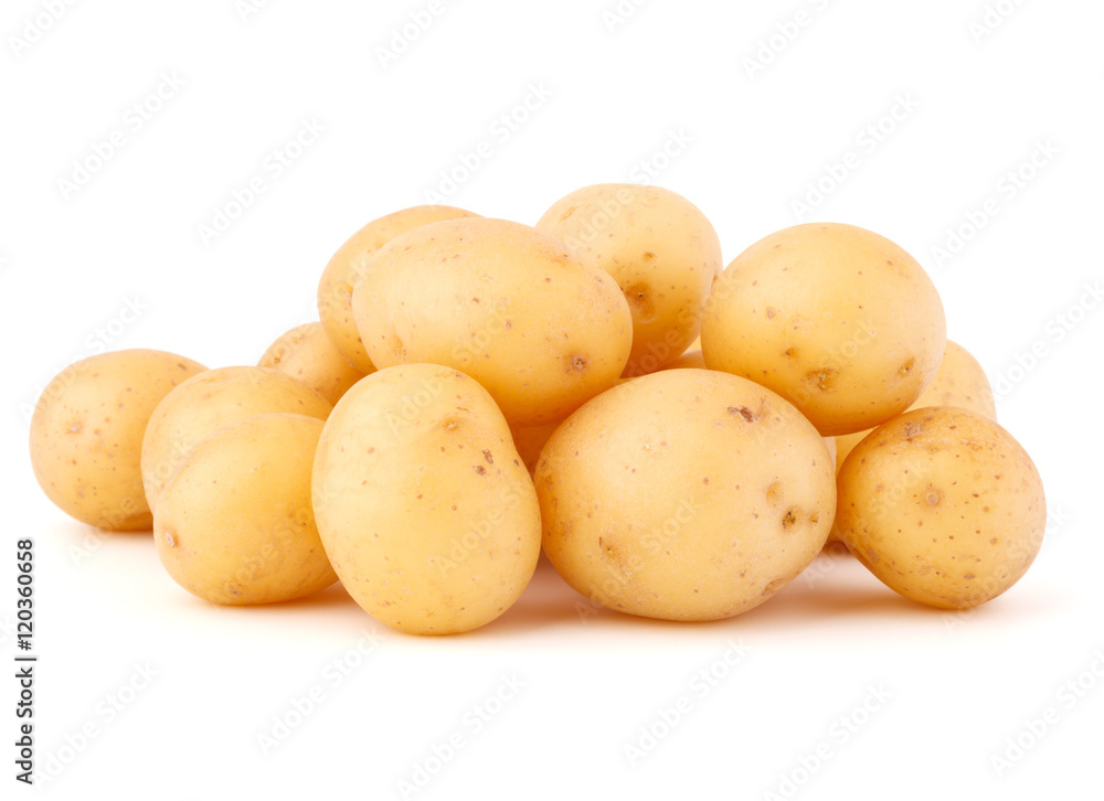 new potato tuber isolated on white background cutout new potato tuber isolated on white background cutout