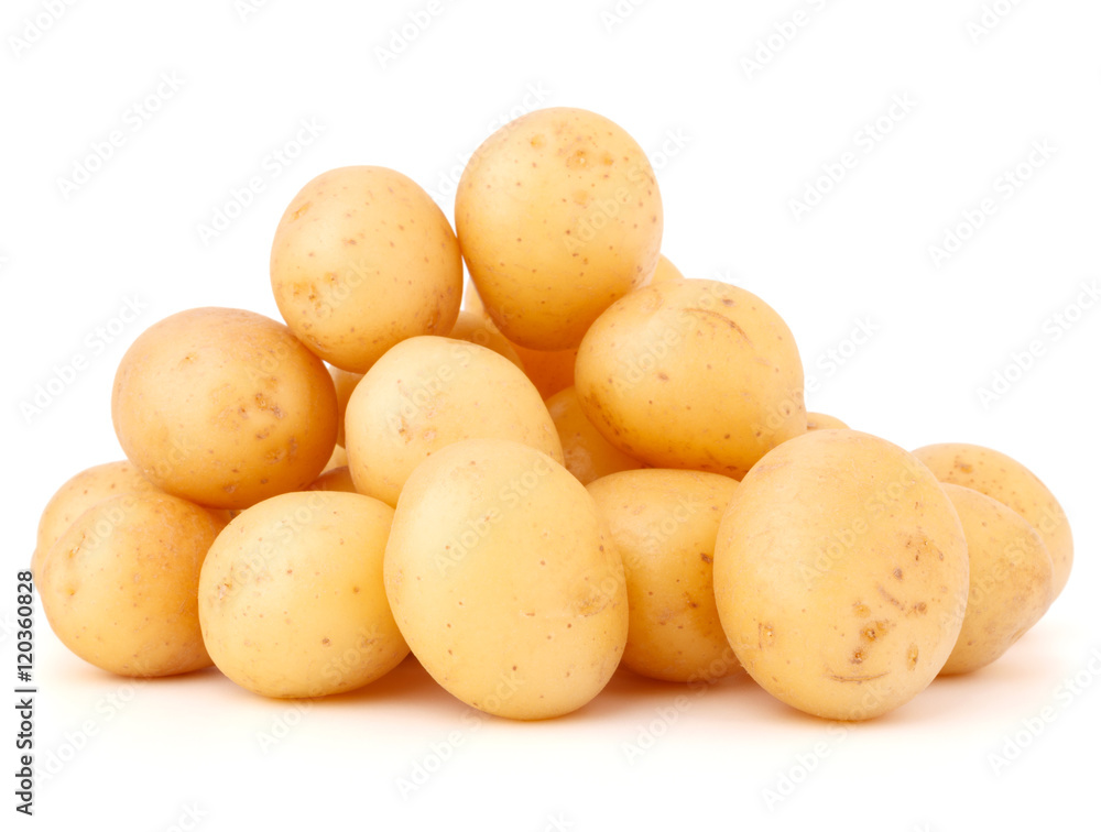 new potato tuber isolated on white background cutout new potato tuber isolated on white background cutout