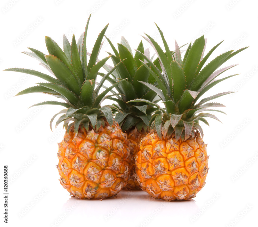 Pineapple tropical fruit or ananas Pineapple tropical fruit or ananas