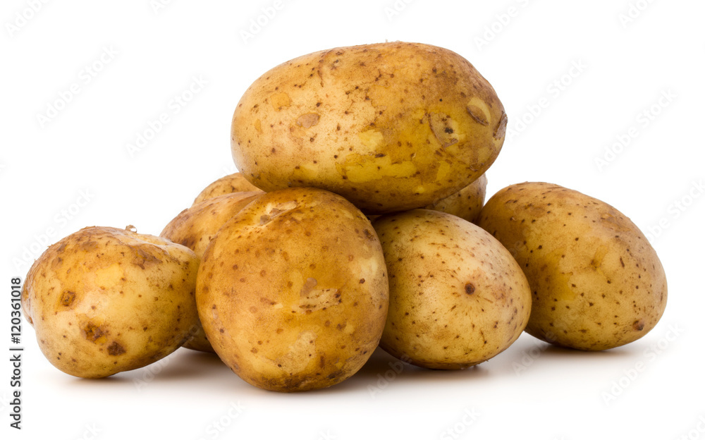 new potato tuber isolated on white background cutout new potato tuber isolated on white background cutout