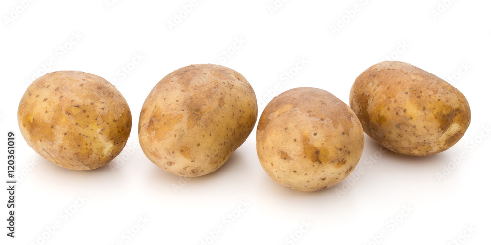 new potato tuber isolated on white background cutout new potato tuber isolated on white background cutout