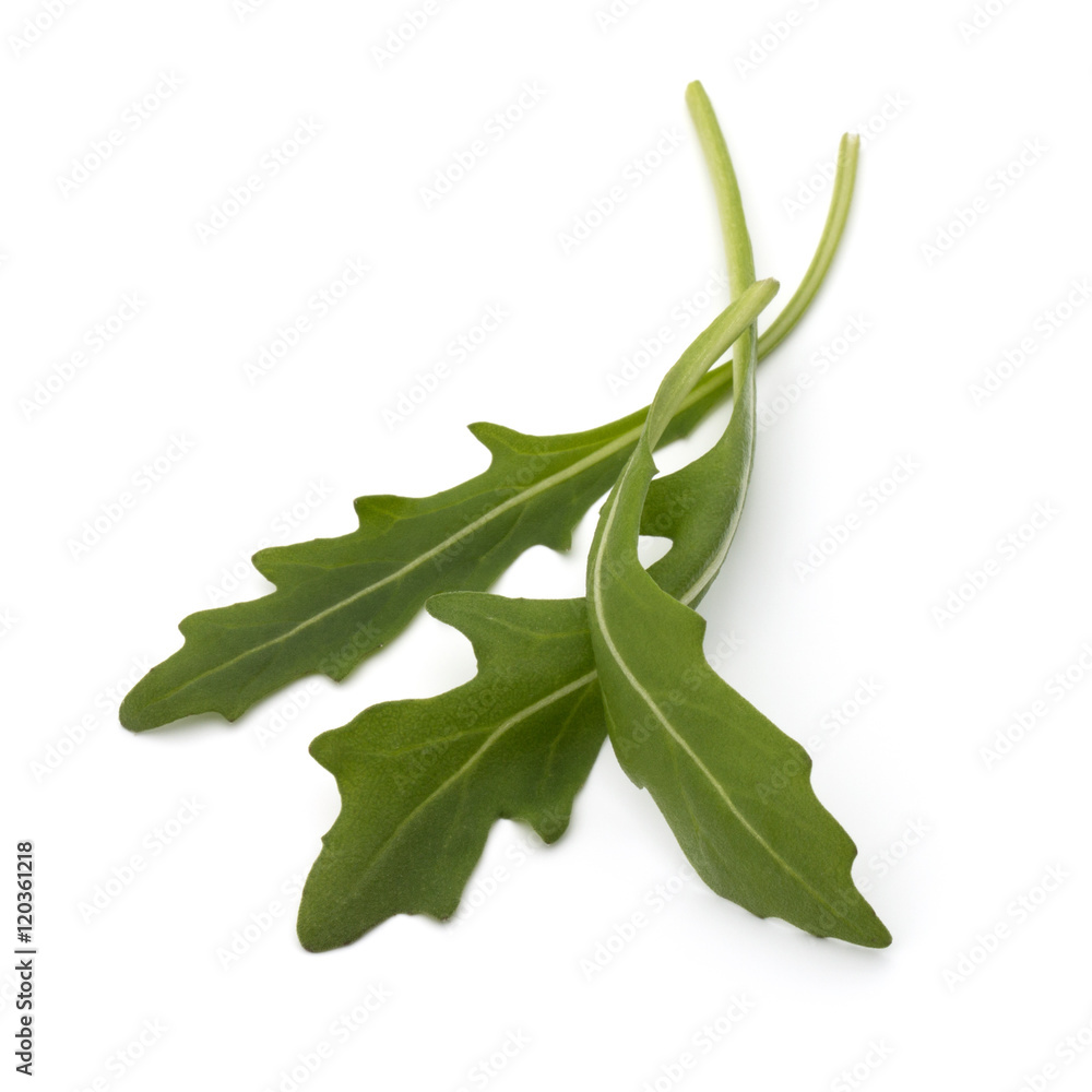 Sweet rucola salad or rocket lettuce leaves isolated on white ba Sweet rucola salad or rocket lettuce leaves isolated on white ba