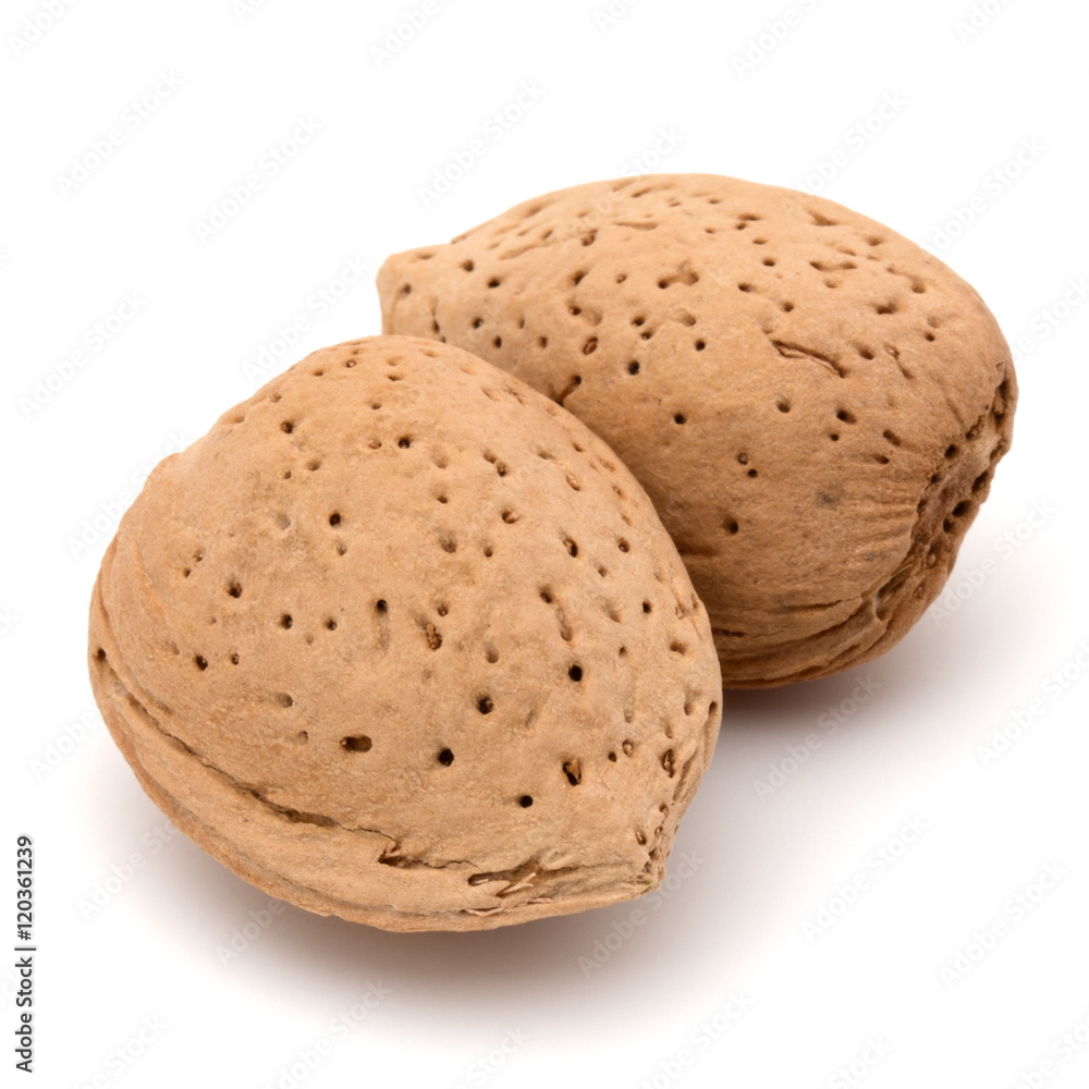 Almond nut in shell isolated on white background close up Almond nut in shell isolated on white background close up