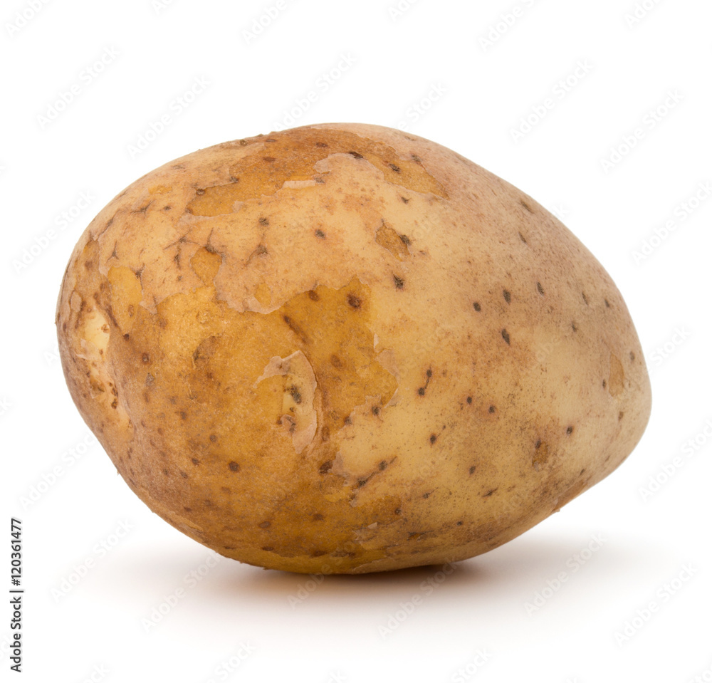 new potato tuber isolated on white background cutout new potato tuber isolated on white background cutout