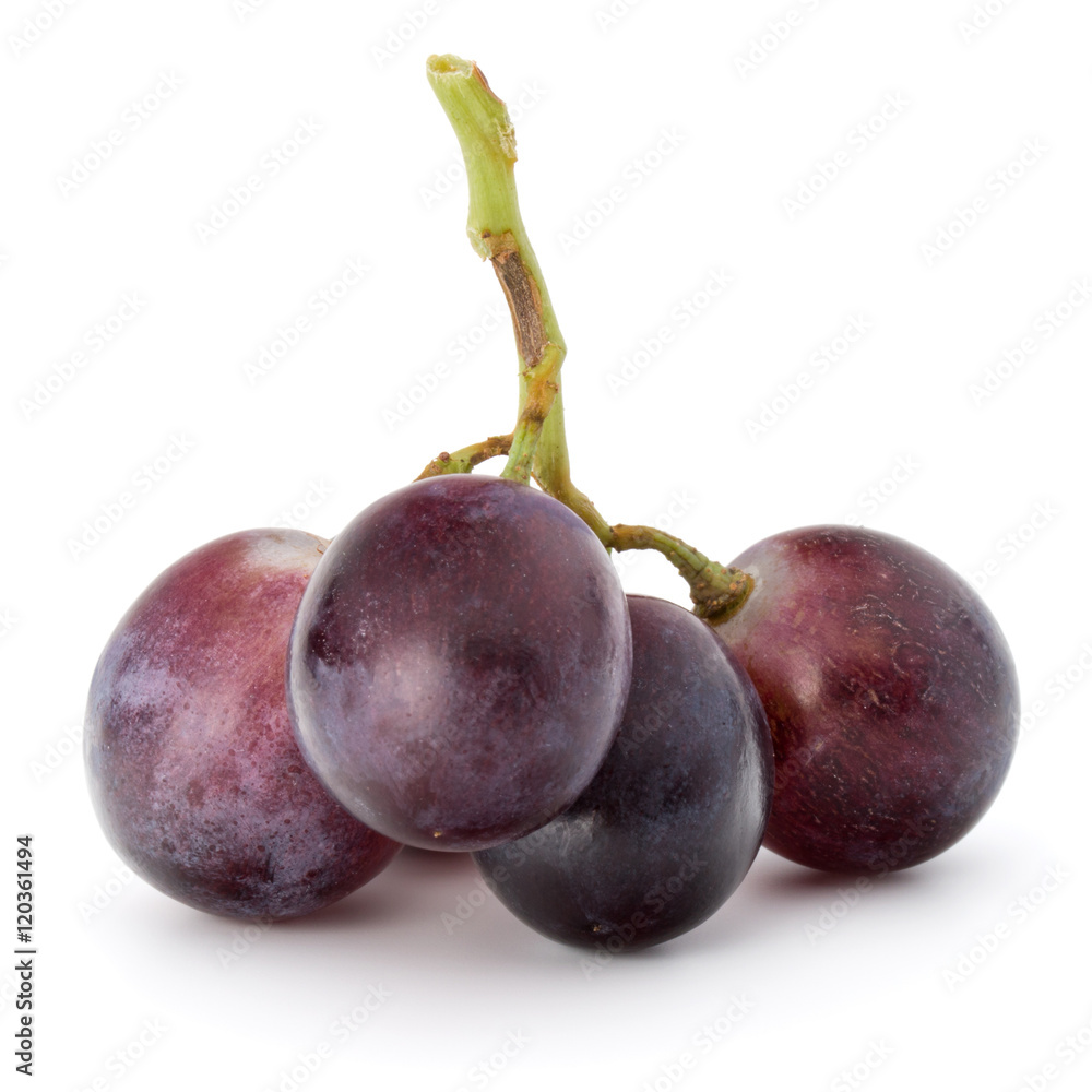 Red grape berry bunch isolated on white background cutout Red grape berry bunch isolated on white background cutout